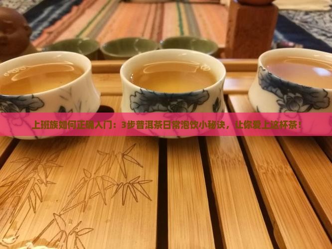 茶叶普洱茶喝法
