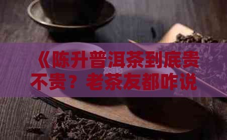 陈升普洱茶价格