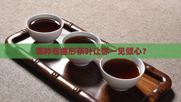卷曲形茶叶的代表