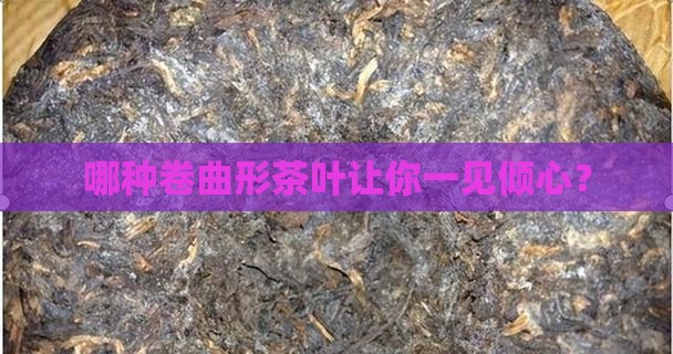 卷曲形茶叶的代表