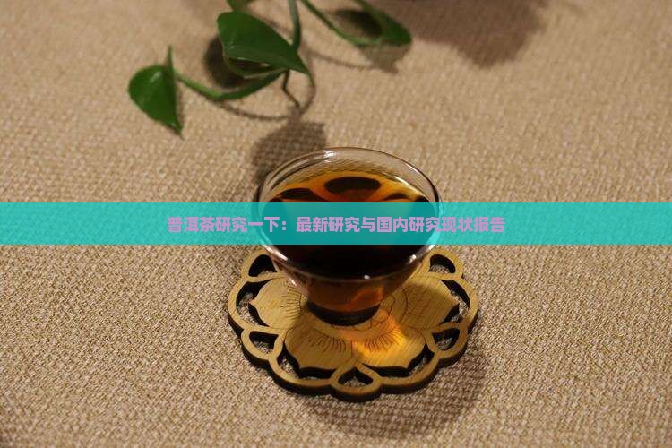 普洱茶研究一下