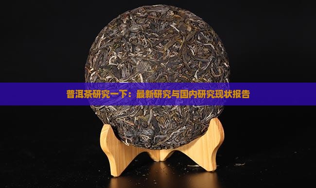 普洱茶研究一下