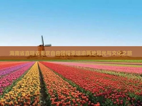 海南省直辖去重庆自由团探索琼渝两地风光与文化之旅