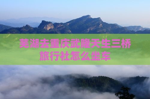 芜湖去重庆武隆天生三桥旅行社怎么坐车