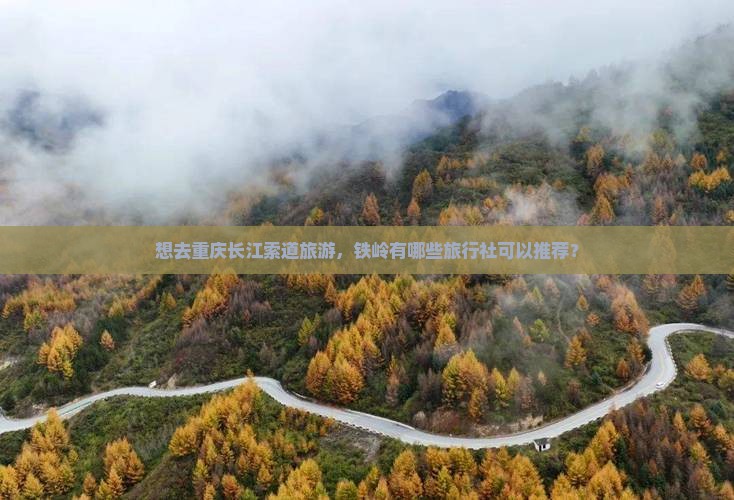 想去重庆长江索道旅游，铁岭有哪些旅行社可以推荐？