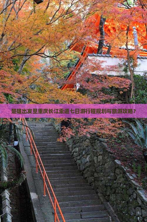 楚雄出发至重庆长江索道七日游行程规划与旅游攻略？