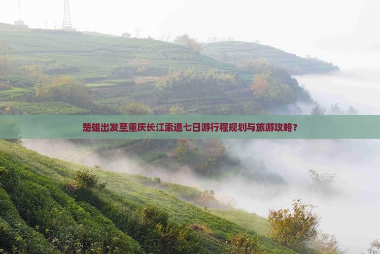 楚雄出发至重庆长江索道七日游行程规划与旅游攻略？