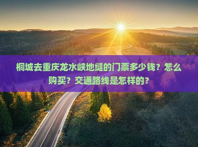 桐城去重庆龙水峡地缝的门票多少钱？怎么购买？交通路线是怎样的？
