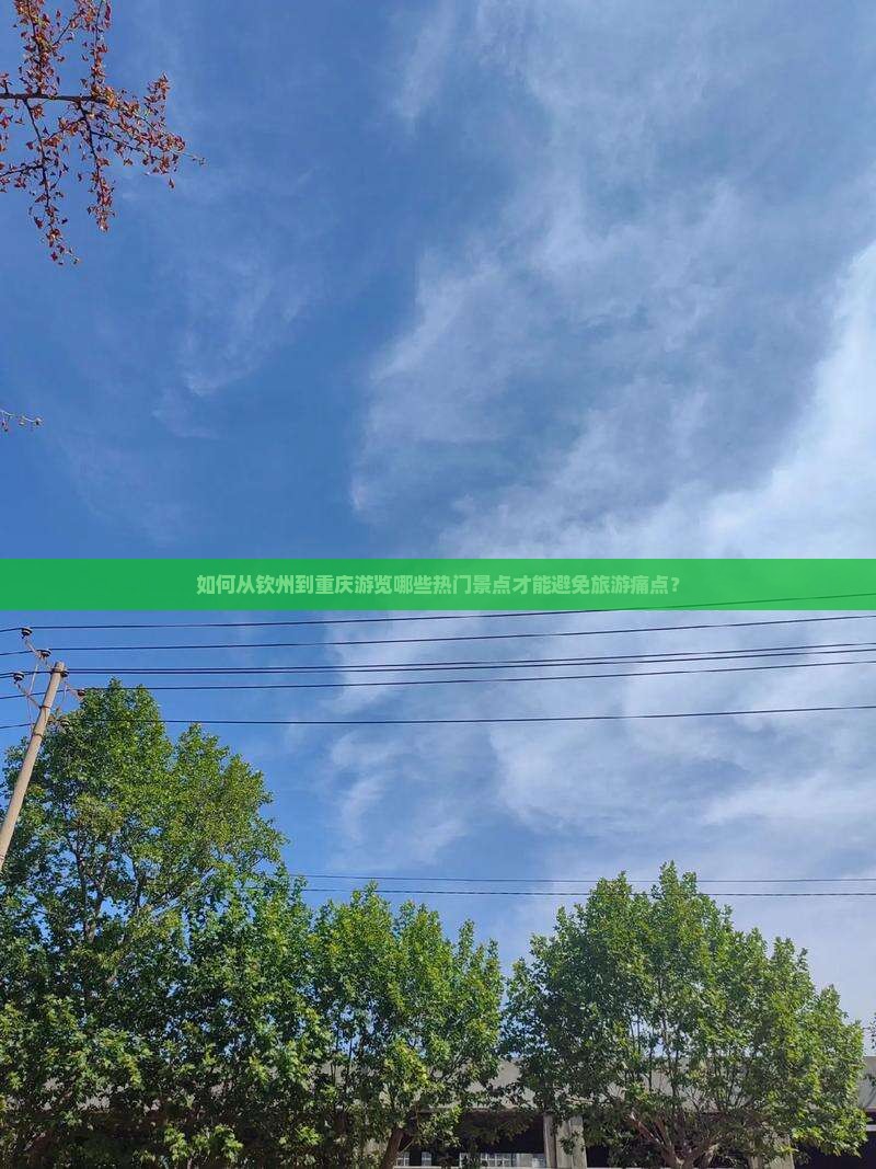 如何从钦州到重庆游览哪些热门景点才能避免旅游痛点？