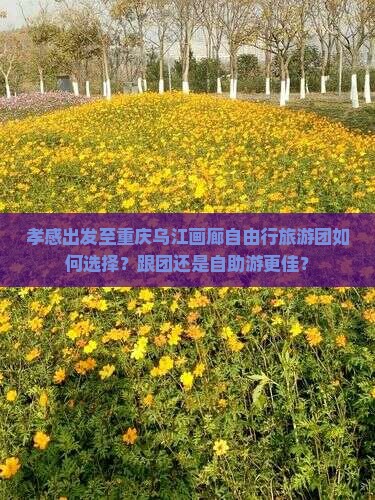 孝感出发至重庆乌江画廊自由行旅游团如何选择？跟团还是自助游更佳？