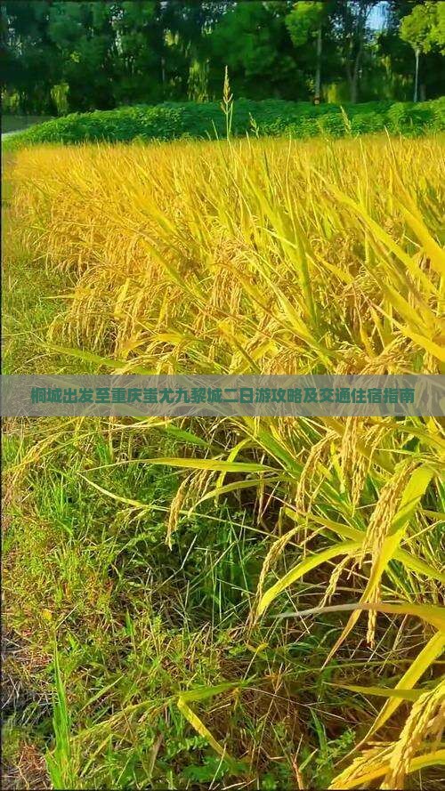 桐城出发至重庆蚩尤九黎城二日游攻略及交通住宿指南
