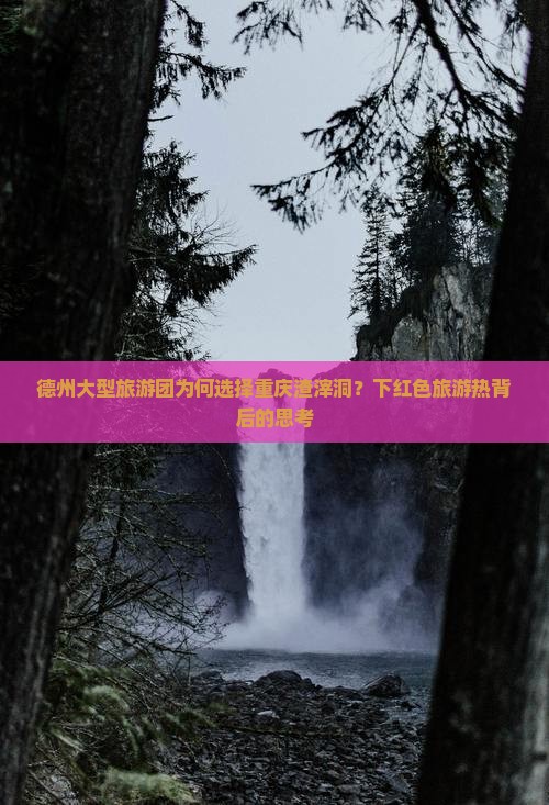德州大型旅游团为何选择重庆渣滓洞？下红色旅游热背后的思考