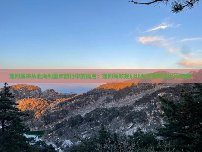 如何解决从北海到重庆旅行中的痛点：如何高效规划北海至重庆的出行攻略？