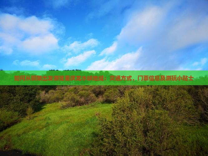 如何从铜陵出发游览重庆龙水峡地缝：交通方式、门票信息及游玩小贴士