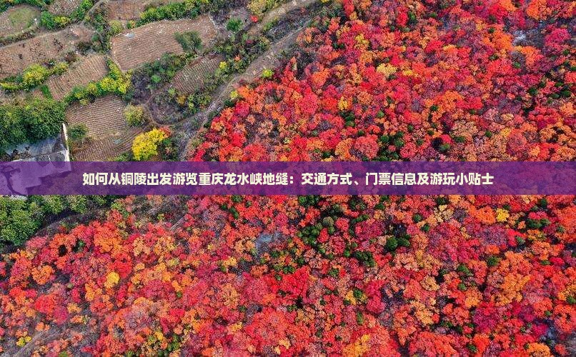 如何从铜陵出发游览重庆龙水峡地缝：交通方式、门票信息及游玩小贴士