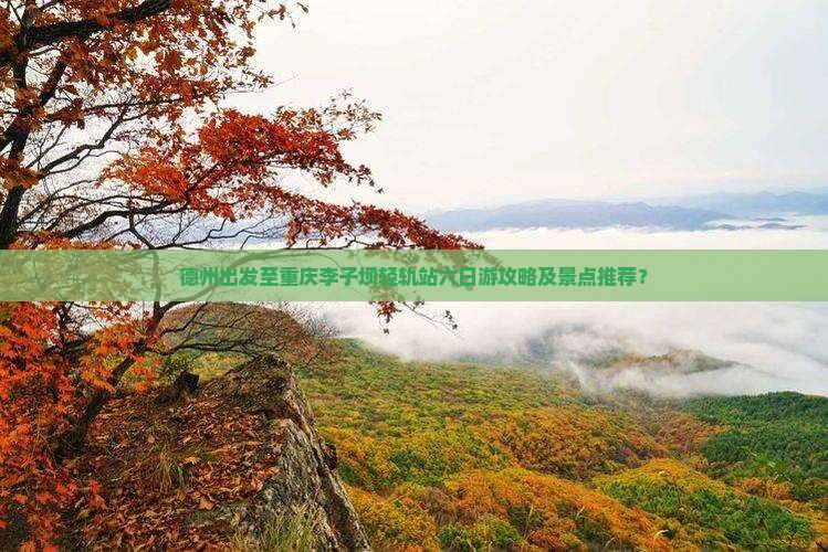 德州出发至重庆李子坝轻轨站六日游攻略及景点推荐？