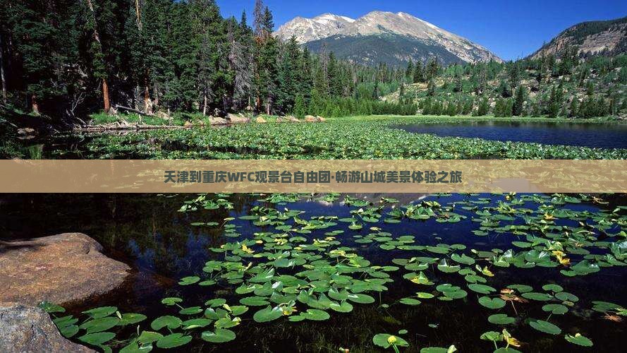 天津到重庆WFC观景台自由团·畅游山城美景体验之旅