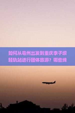 如何从亳州出发到重庆李子坝轻轨站进行团体旅游？哪些线路和交通方式最便捷？