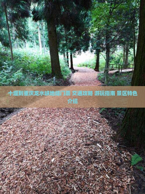 十堰到重庆龙水峡地缝门票+交通攻略+游玩指南+景区特色介绍