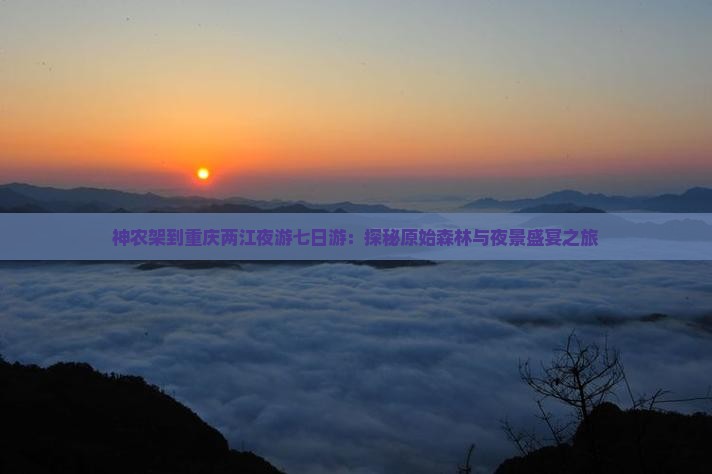 神农架到重庆两江夜游七日游：探秘原始森林与夜景盛宴之旅