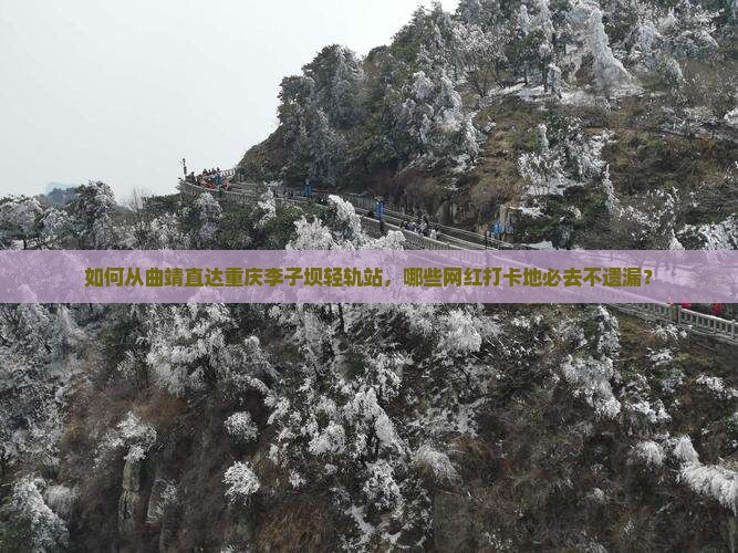 如何从曲靖直达重庆李子坝轻轨站，哪些网红打卡地必去不遗漏？
