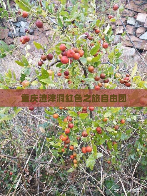 重庆渣滓洞红色之旅自由团