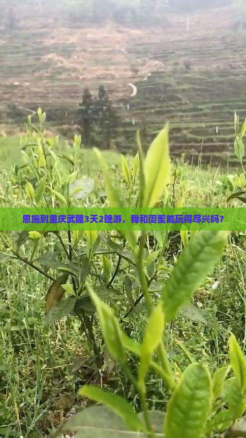 恩施到重庆武隆3天2晚游，我和闺蜜能玩得尽兴吗？