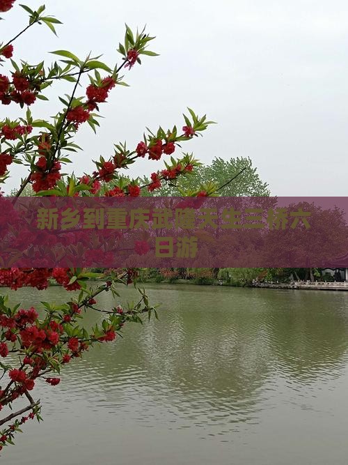 新乡到重庆武隆天生三桥六日游
