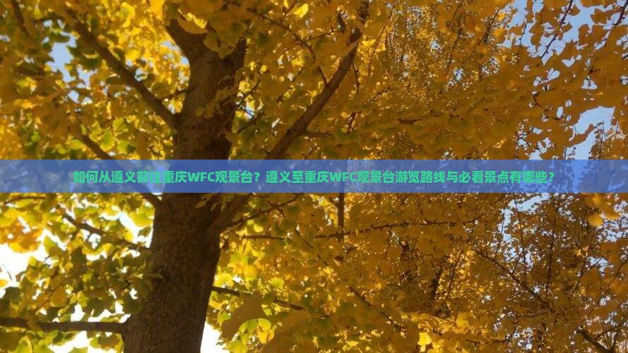如何从遵义前往重庆WFC观景台？遵义至重庆WFC观景台游览路线与必看景点有哪些？