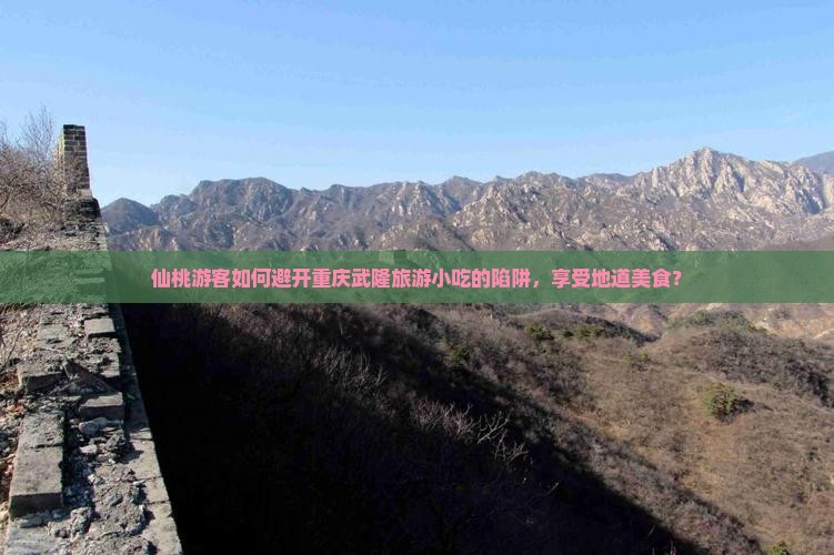 仙桃游客如何避开重庆武隆旅游小吃的陷阱，享受地道美食？