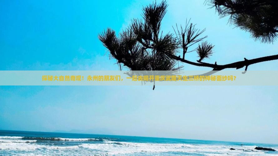 探秘大自然奇观！永州的朋友们，一起去揭开重庆武隆天生三桥的神秘面纱吗？