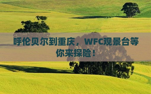 呼伦贝尔到重庆，WFC观景台等你来探险！