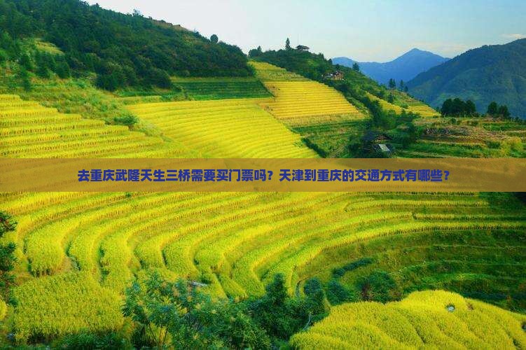 去重庆武隆天生三桥需要买门票吗？天津到重庆的交通方式有哪些？