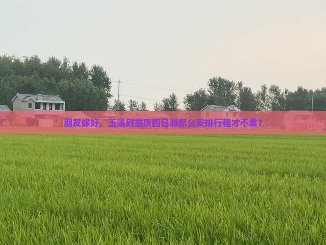 朋友你好，玉溪到重庆四日游怎么安排行程才不累？