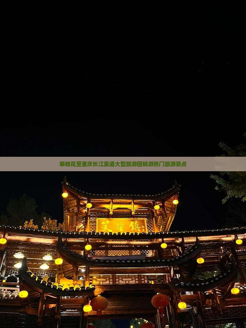 攀枝花至重庆长江索道大型旅游团畅游热门旅游景点