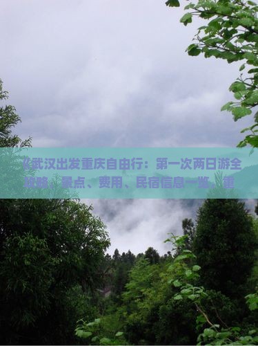 《武汉出发重庆自由行：第一次两日游全攻略，景点、费用、民宿信息一览，重庆旅游倾情打造》