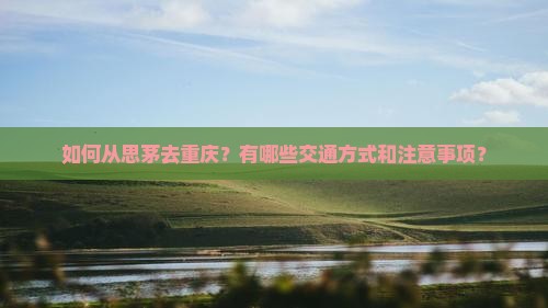 如何从思茅去重庆？有哪些交通方式和注意事项？