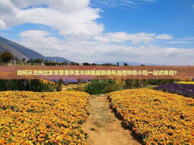 如何从沧州出发享受重庆龙水峡地缝旅游与当地特色小吃一站式体验？