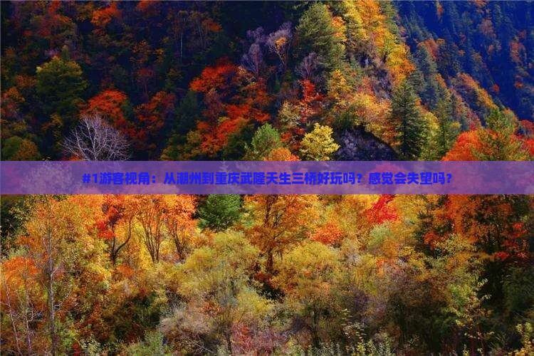 #1游客视角：从潮州到重庆武隆天生三桥好玩吗？感觉会失望吗？