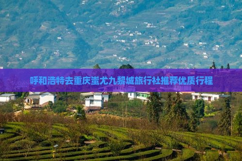 呼和浩特去重庆蚩尤九黎城旅行社推荐优质行程