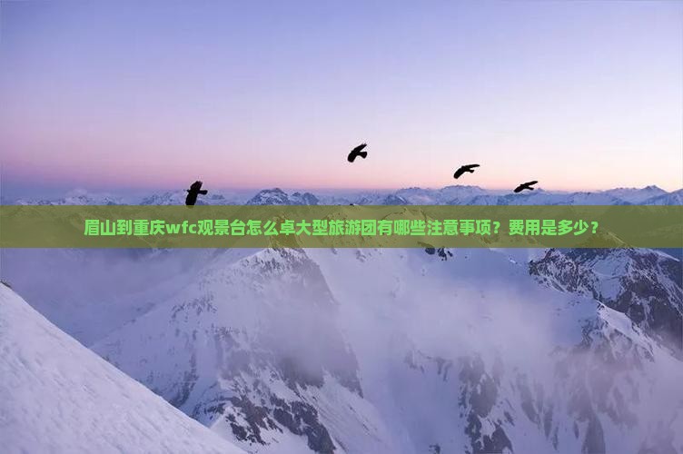 眉山到重庆wfc观景台怎么卓大型旅游团有哪些注意事项？费用是多少？