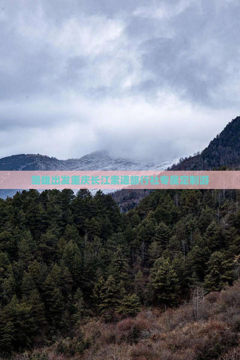 楚雄出发重庆长江索道旅行社专属定制游