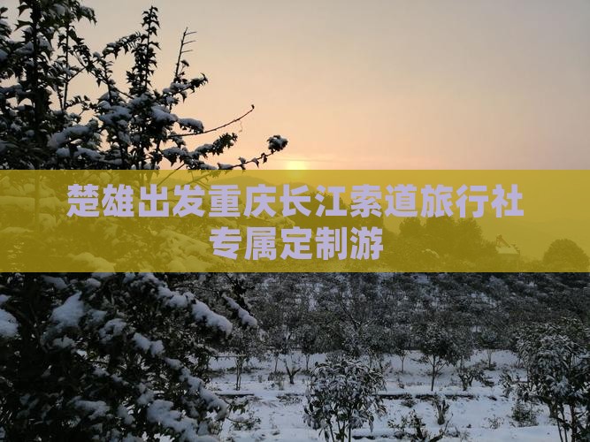 楚雄出发重庆长江索道旅行社专属定制游