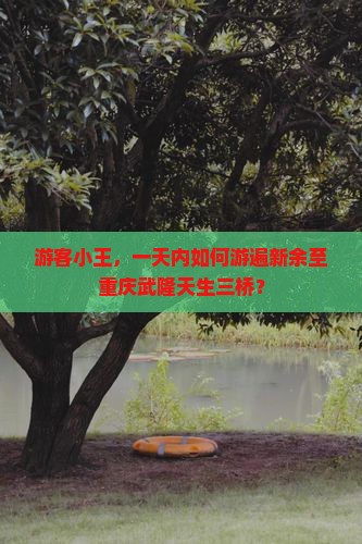 游客小王，一天内如何游遍新余至重庆武隆天生三桥？