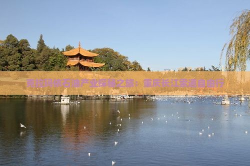 克拉玛依石油产业探秘之旅：重庆长江索道自由行