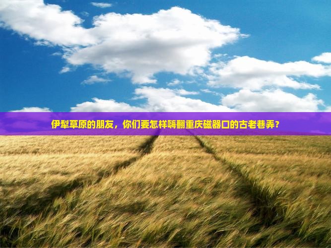 伊犁草原的朋友，你们要怎样嗨翻重庆磁器口的古老巷弄？