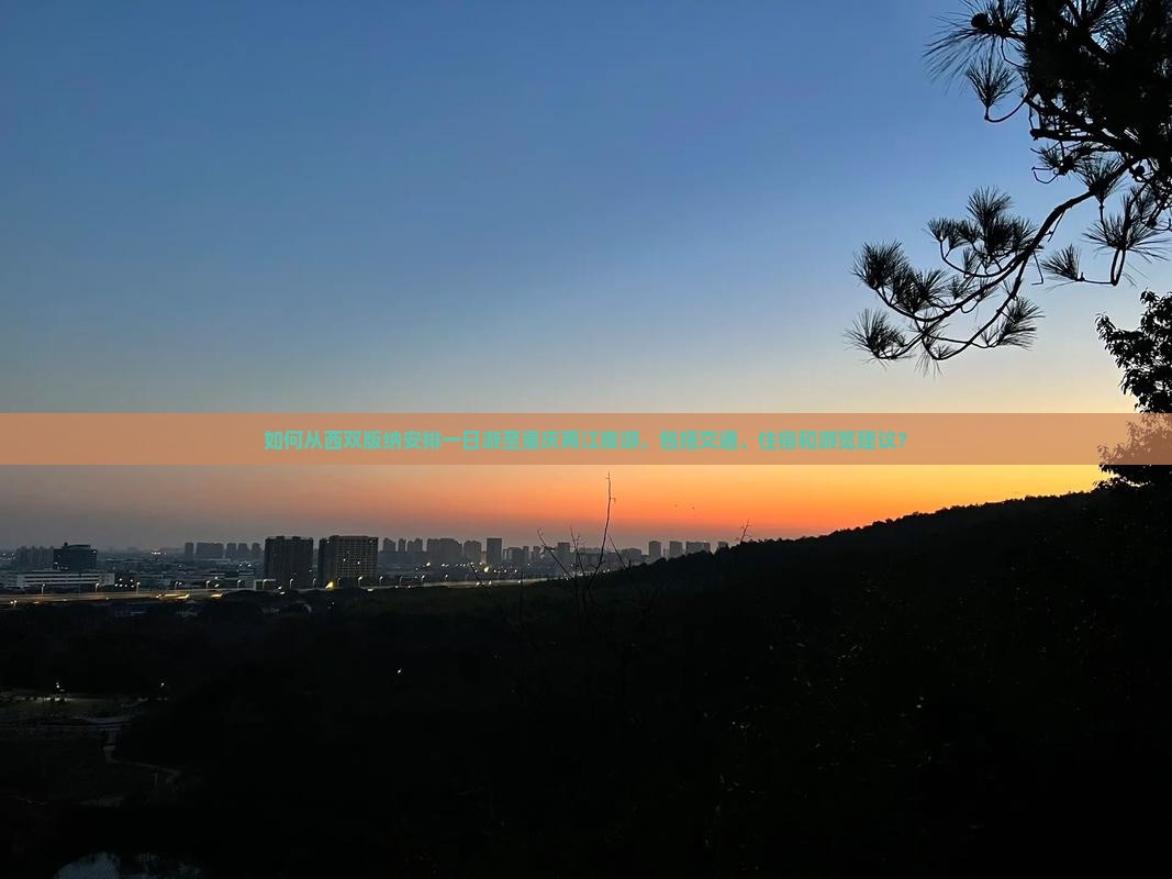 西双版纳去重庆两江夜游一日