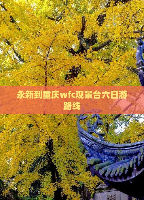 永新到重庆wfc观景台六日游