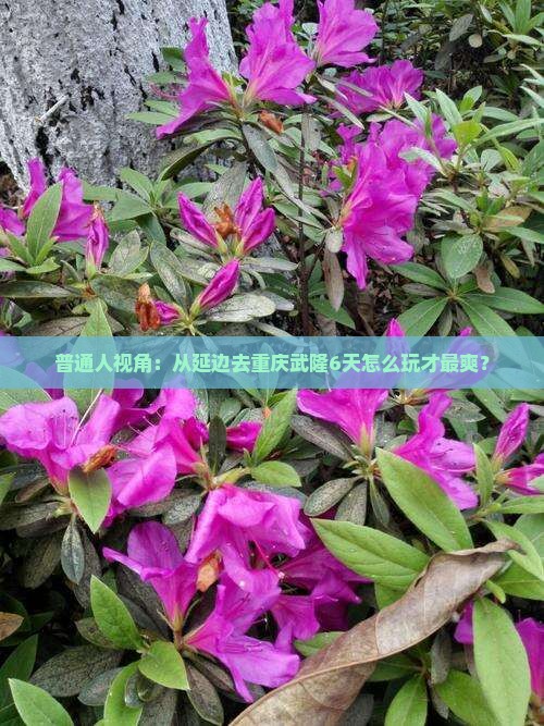 延边到重庆武隆六日游