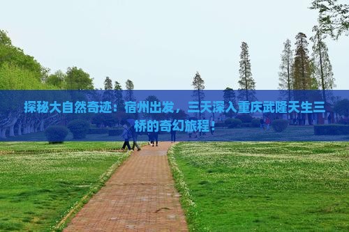 宿州去重庆武隆天生三桥三日游